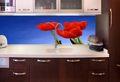 Fototapeta na zástěnu - Červené tulipány 18495